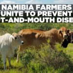 N$15 billion livestock sector safeguarded with new Foot-and-Mouth Disease Fund