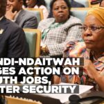 Youth jobs, water security top Namibia’s AU agenda