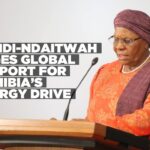 President Nandi-Ndaitwah calls on international partners to support Namibia’s energy ambitions