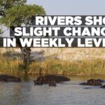 Rivers see modest gains and losses in water levels over past week