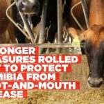 Namibia strengthens Foot-and-Mouth Disease defences amid regional outbreaks