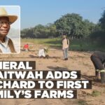 First Gentleman ventures into mango farming