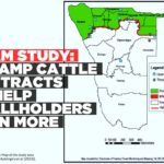 Study calls for reform of cattle contract pricing model
