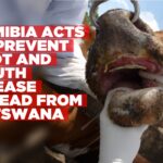 Namibia restricts import of cloven-hoofed animals from Botswana over FMD outbreak