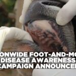Namibia launches regional awareness campaign on Foot-and-Mouth Disease