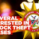 Multiple arrests made for stock theft
