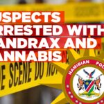 Drug arrests reported in Aus, Kavango West