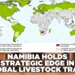 FMD-free status opens high-value markets for Namibia