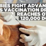 Over 120,000 dogs vaccinated as rabies fight advances