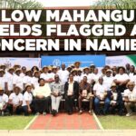 Domestic mahangu production falls short of demand – FAO