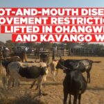 Movement restrictions on livestock lifted in Ohangwena and Kavango West