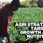 Agriculture strategy aims to cut hunger and create opportunities