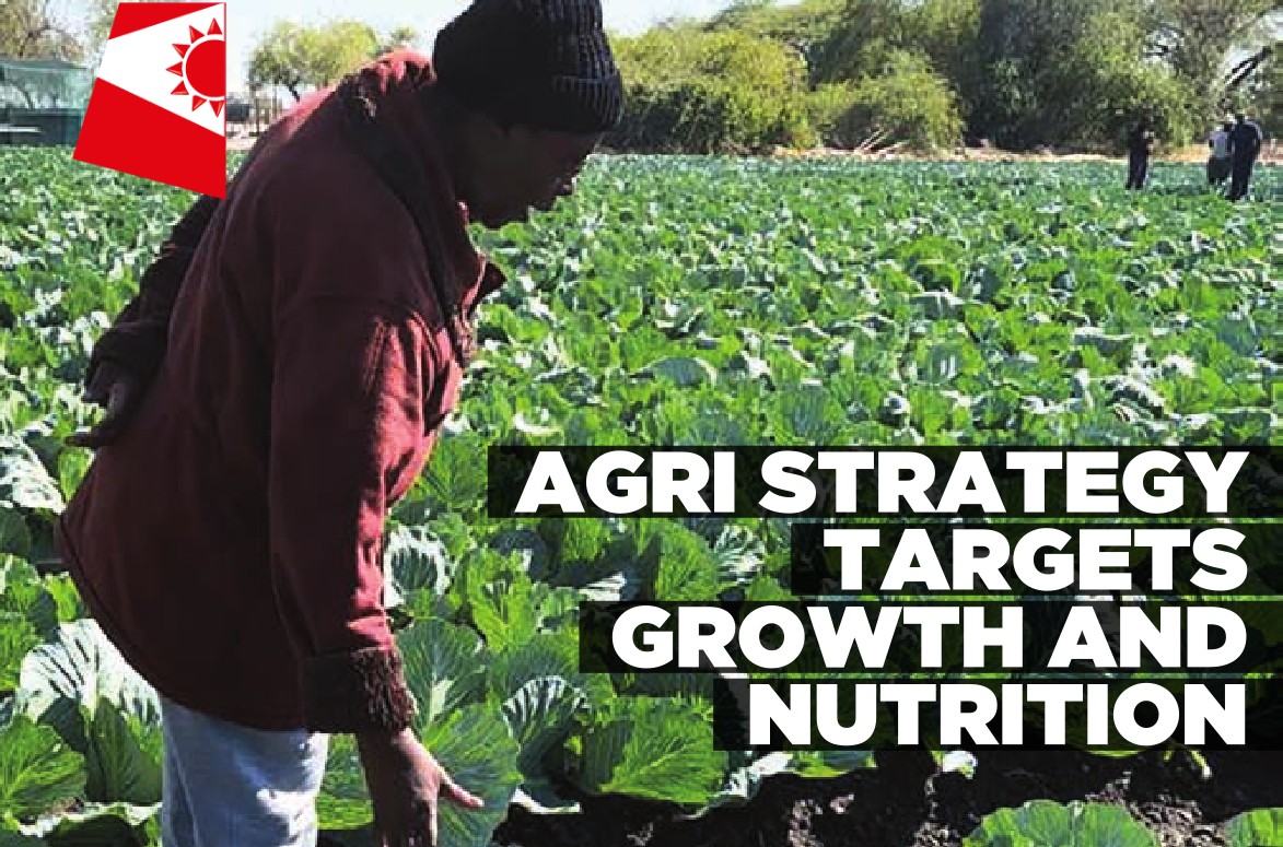 Agriculture strategy aims to cut hunger and create opportunities