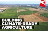 Climate resilience at centre of Namibia’s agri-food transformation plan