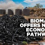 Bush becomes ‘black gold’ as biomass sector expands
