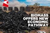 Bush becomes ‘black gold’ as biomass sector expands