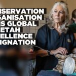 Cheetah Conservation Fund named Global Centre of Excellence for Cheetah Conservation