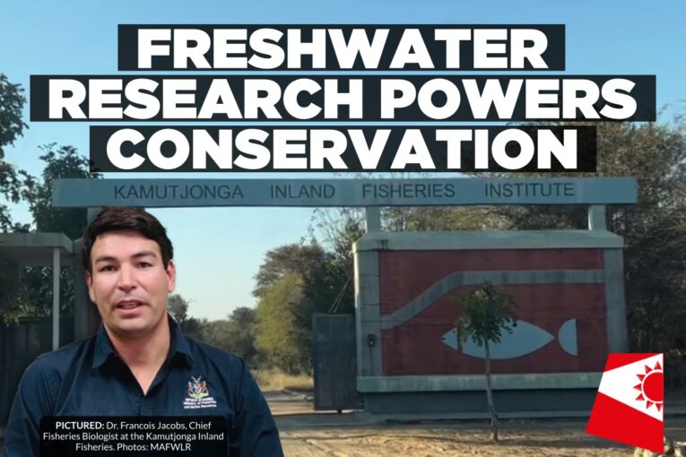 KIFI safeguards Namibia’s inland fisheries through research and conservation