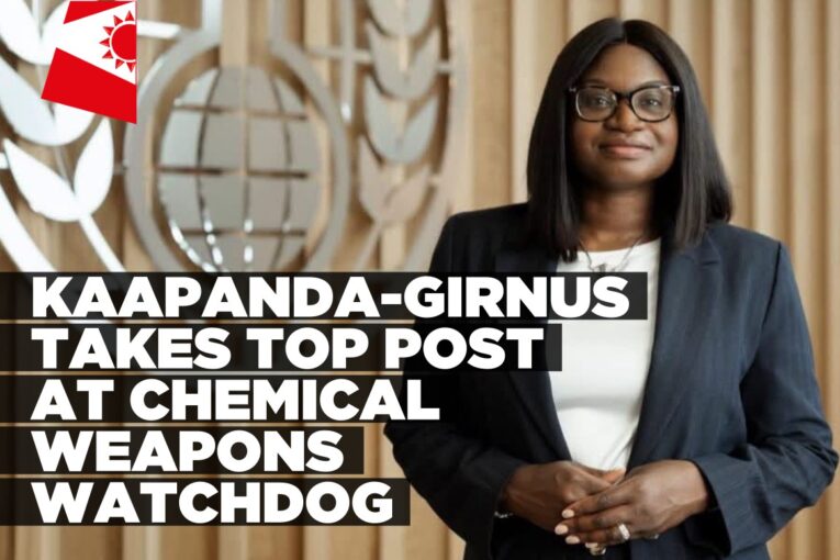 Namibian diplomat appointed OPCW Deputy Director-General