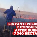 Linyanti wildfire extinguished after burning 7 340 hectares