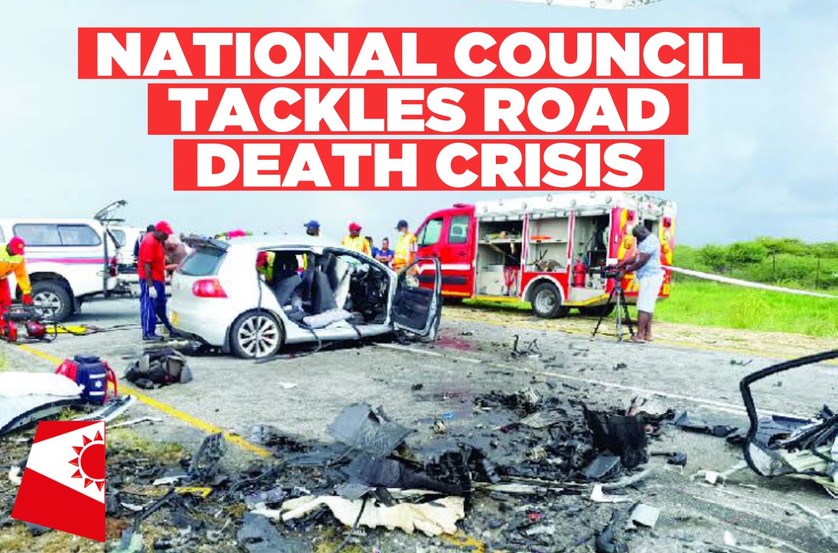 The National Council committee engages on high death toll on Namibian roads crisis