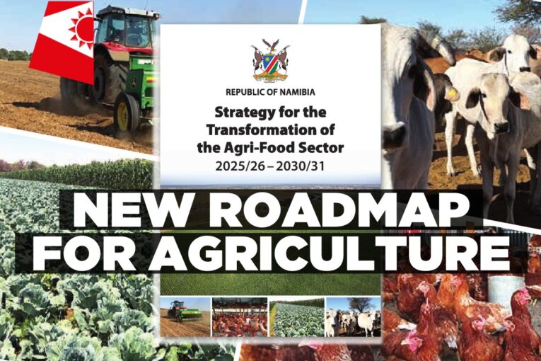 New agri-food strategy targets 6% annual growth, aims to double sector's GDP contribution by 2030