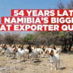 Namibia’s largest goat exporter quits after costs soar