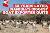 Namibia’s largest goat exporter quits after costs soar