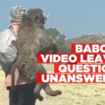 Baboon video leaves questions unanswered