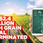 Agriculture ministry terminates 6th Grain Agreement over legal, procedural concerns