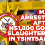 27-year-old arrested over alleged goat theft in Tsintsabis