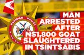 27-year-old arrested over alleged goat theft in Tsintsabis