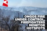 Nujoma joins firefighters as Ongos veld fire brought under control