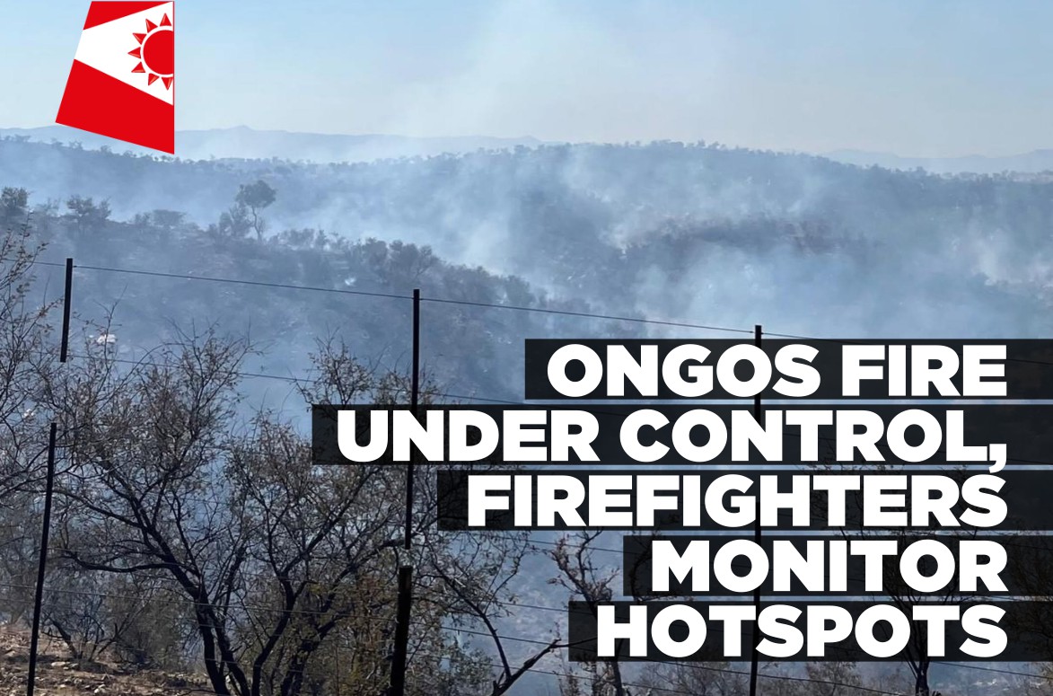 Nujoma joins firefighters as Ongos veld fire brought under control