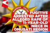 Fugitive arrested after alleged rape of 11-year-old niece in Omusati Region