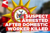 Woman, 41, arrested for murder of Angolan domestic worker