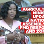 FMD support, zoning and meat exports discussed in National Assembly