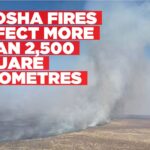 Over 2,500 square kilometres affected by Etosha wildfires