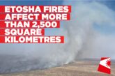 Over 2,500 square kilometres affected by Etosha wildfires