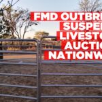 FMD outbreak halts livestock auctions nationwide