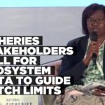 Fisheries stakeholders call for ocean ecosystem data to inform catch limits