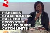 Fisheries stakeholders call for ocean ecosystem data to inform catch limits