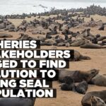 Fisheries sector urged to find solution to growing seal population