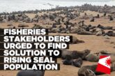 Fisheries sector urged to find solution to growing seal population