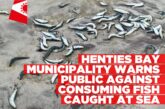 Henties Bay Municipality warns public against consuming fish caught at sea