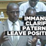 No law with regard to paternity leave benefits – Wise says