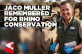 Tributes are streaming in for conservationist Jaco Muller