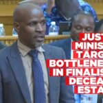 Government targets delays at Master’s Office