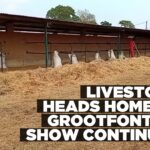 Grootfontein Show continues as livestock returns to farms