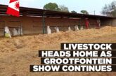 Grootfontein Show continues as livestock returns to farms